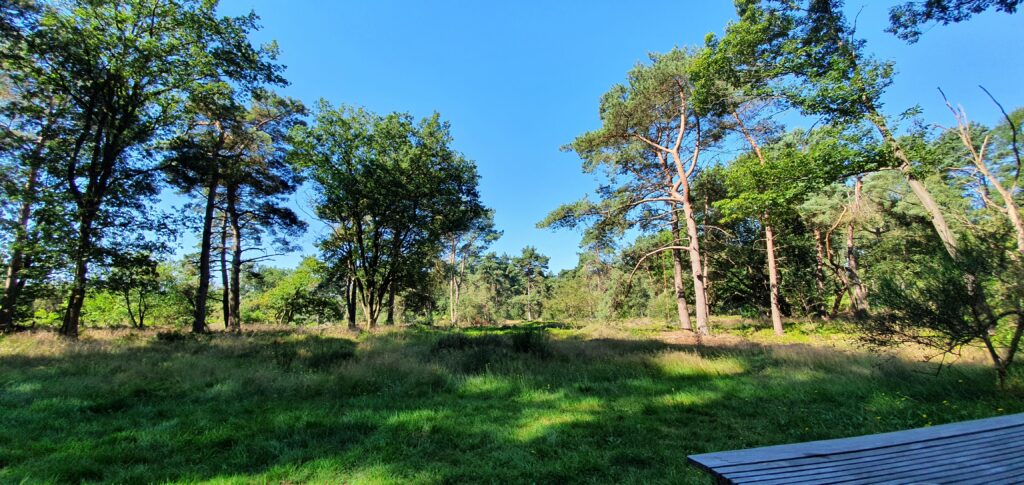 Terras met uitzicht naar de heide achter het huis.
